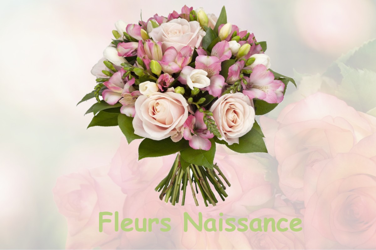 fleurs naissance MARCY-L-ETOILE